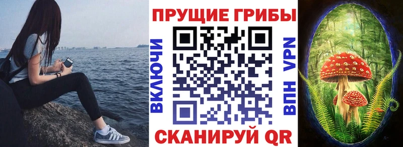 Псилоцибиновые грибы мухоморы  ссылка на мегу онион  Королёв  купить наркотики цена 